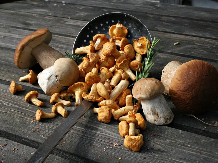 Pilze